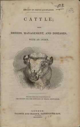Cattle (Library of Useful Knowledge/Baldwin & Craddock) (image)