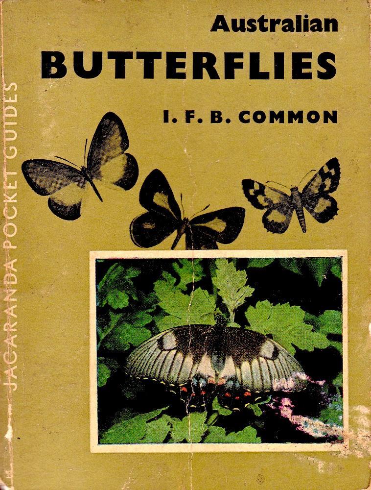 Australian Butterflies (Jacaranda Pocket Guides/Jacaranda Press) (image)