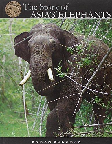 The Story of Asia's Elephants (Marg Foundation) (image)